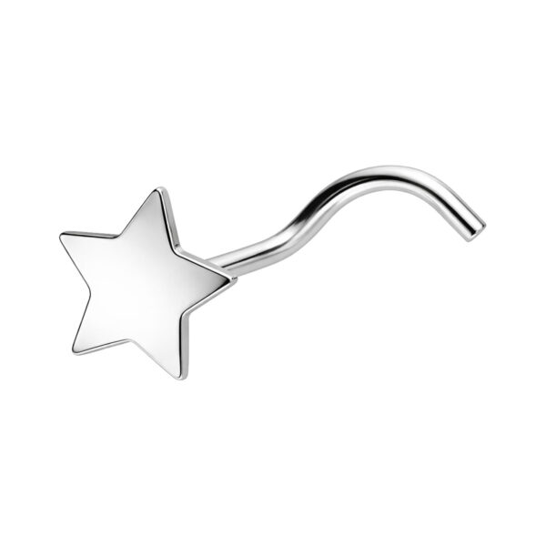 Piercing de nariz plateado en forma de estrella sobre fondo blanco