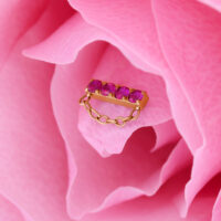Ajuste a presión dorado con rubí para cadena Accesorio dorado con cuatro rubíes rojos y cadena sobre pétalo rosa