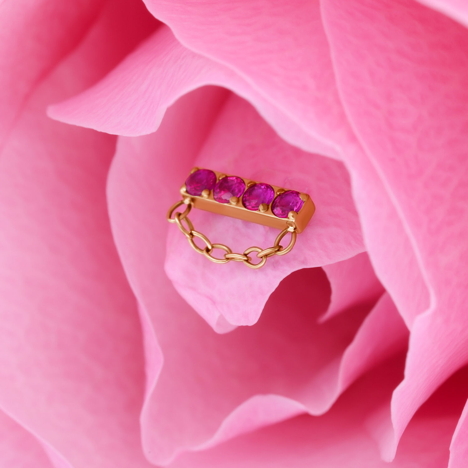 Ajuste a presión dorado con rubí para cadena Accesorio dorado con cuatro rubíes rojos y cadena sobre pétalo rosa