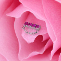 Ajuste de plata con cuatro cristales rojos y cadena sobre pétalos rosados