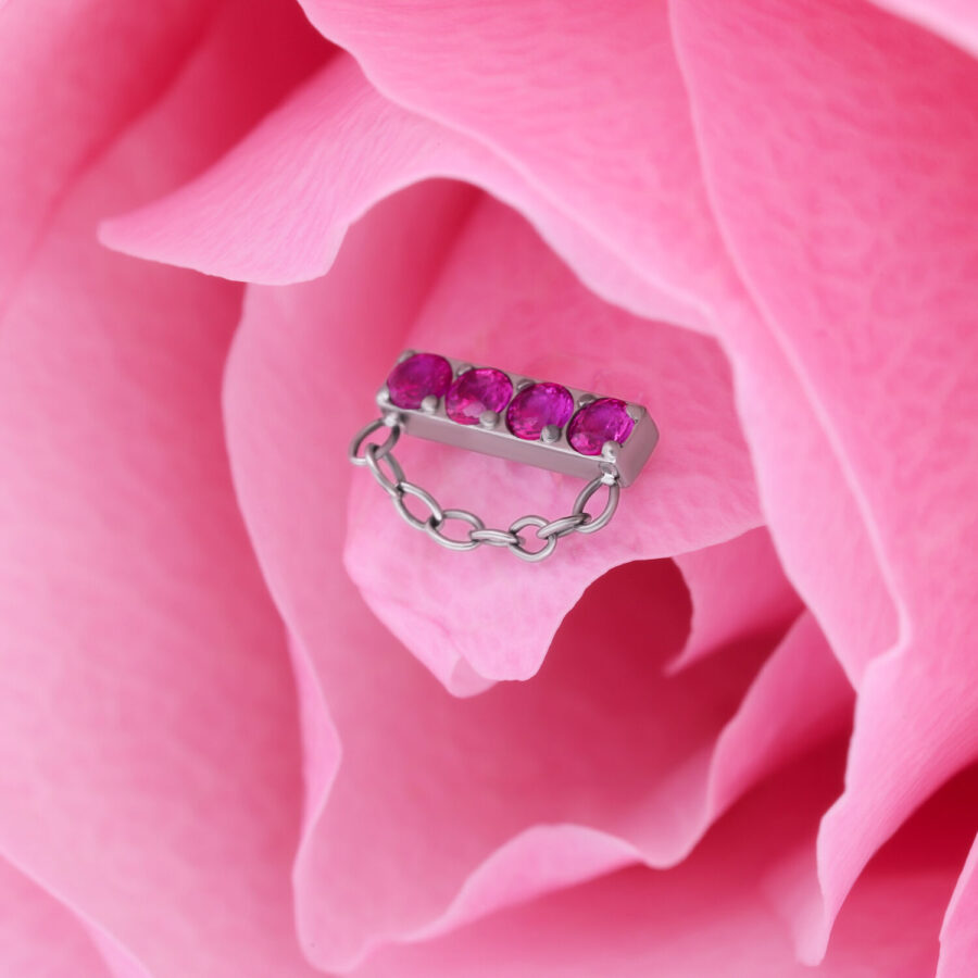 Ajuste de plata con cuatro cristales rojos y cadena sobre pétalos rosados