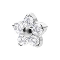 Pieza de piercing en forma de estrella de cristal plateada Pieza de piercing plateada en forma de estrella con cinco cristales claros