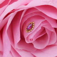 Aplique Ovalado Rojo Rubí con Perlas Doradas Aplique Push Fit dorado con piedra roja rubí en una rosa rosa