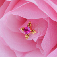 Accesorio dorado con cristal rojo sobre pétalos de rosa