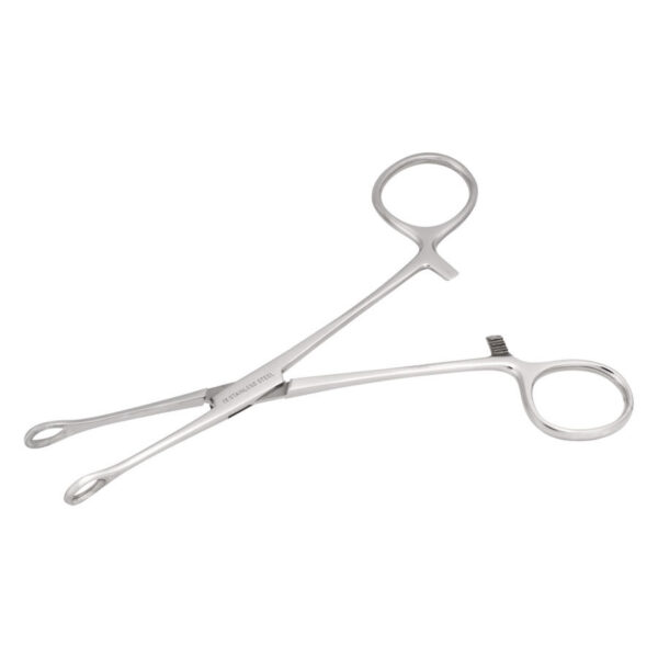 Pinza curva de acero inoxidable plateada sobre fondo blanco