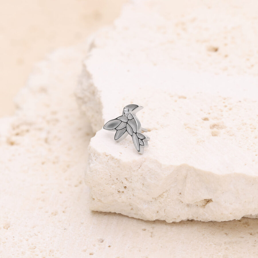 Colibrí de oro blanco colocado sobre piedra clara