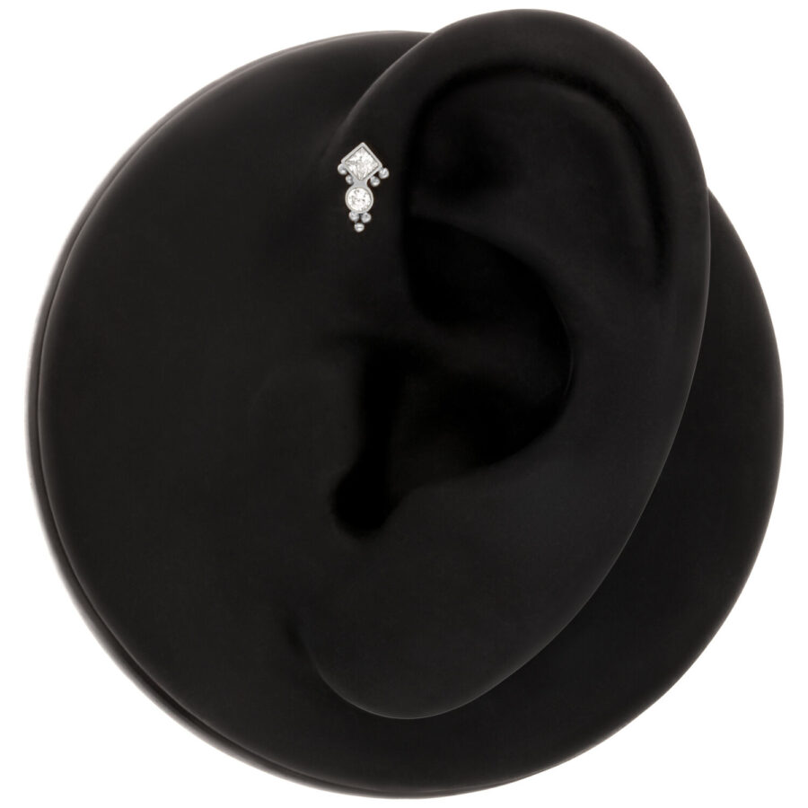 Modelo de oreja negra con adaptador de pendiente Push Fit plateado