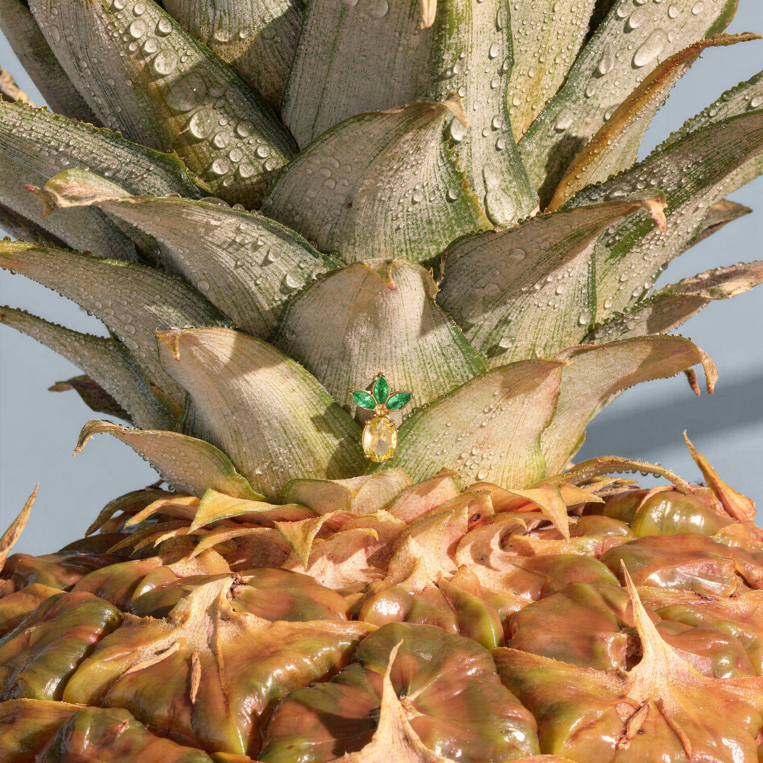 Ajuste de Piercing de Piña Dorada Primer plano de un ajuste de piercing dorado en forma de piña con hojas verdes, colocado sobre una piña real con gotas de agua