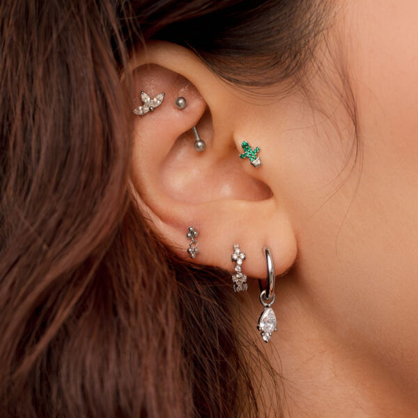 Oreja con varios piercings de plata, incluyendo un cactus