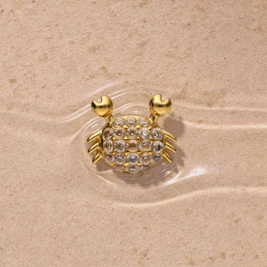 Adorno dorado de cangrejo con piedras de strass sobre fondo arenoso