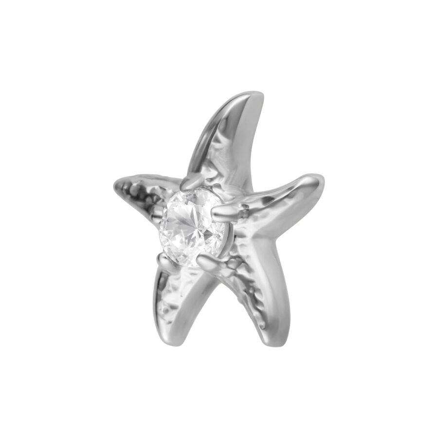 Ajuste de estrella de mar plateada con piedra brillante sobre fondo blanco