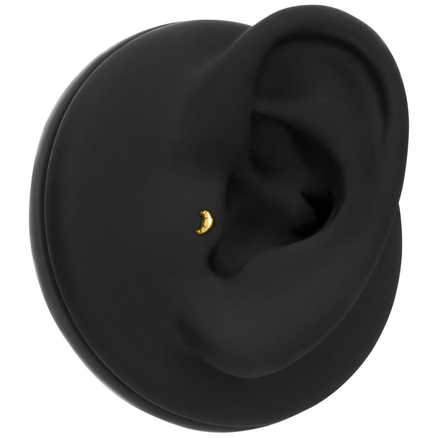 Modelo de oreja negra con accesorio de croissant dorado en el interior de la oreja