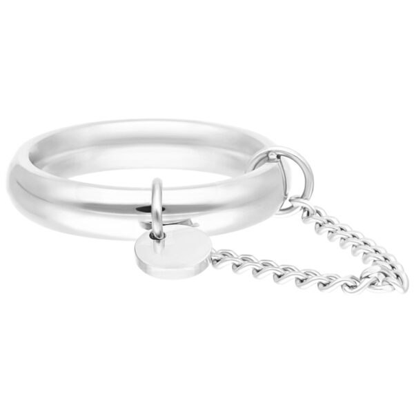 Anillo plateado con colgante y detalle de cadena sobre fondo blanco