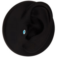 Accesorio Ovalado Turquesa Push Fit Modelo de oreja negra con accesorio ovalado turquesa