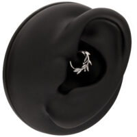 Piercing Clicker Rama de Olivo Plateado Anillo de piercing plateado en forma de rama de olivo, en un expositor negro para orejas